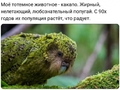 Загрузка фото...