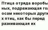 question