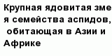 question