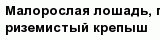 question