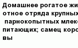 question