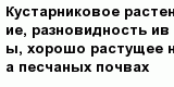 question