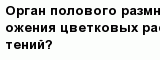 question