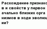 question