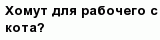 question