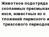 question