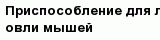 question