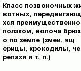question