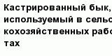 question