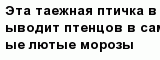 question