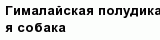 question