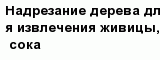 question