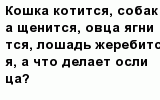question