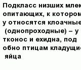 question