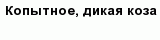 question
