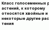 question