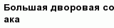 question