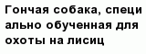 question