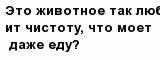 question