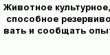 question